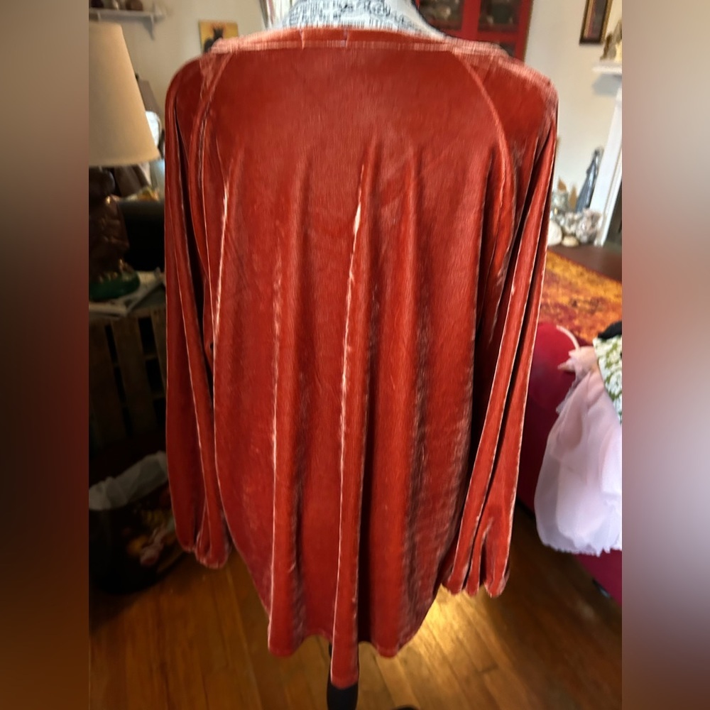 Dylan Rust Velvet Tunic - Picture 3 of 7